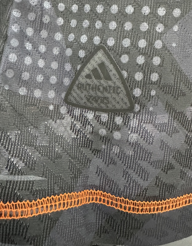 Argentina Camiseta de Entrenamiento Versión Jugador 2024 (Negra) 10