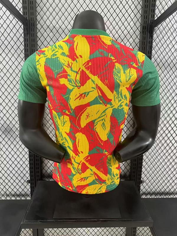 Senegal Edición Especial Diseño 2 Versión Jugador 2024/25 (Verde) 2