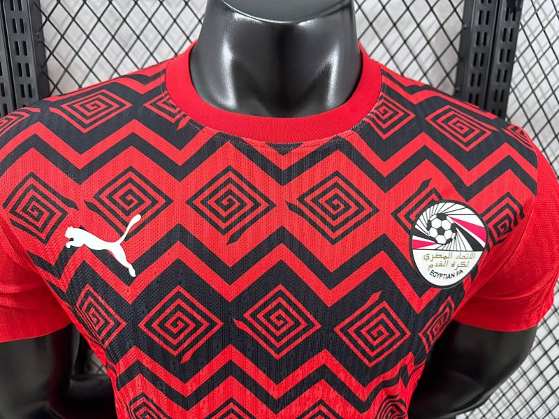Japón Edición Especial Versión Jugador 2024/25 (Roja) 3
