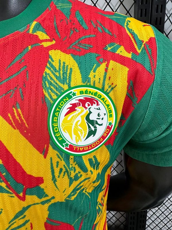 Senegal Edición Especial Versión Jugador 2024/25 (Verde) 5