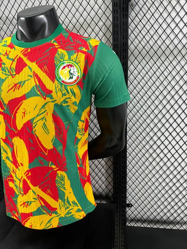 Senegal Edición Especial Versión Jugador 2024/25 (Verde) 6