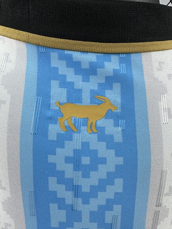 Argentina Edición Especial Versión Jugador 2024/25 (Blanca) 9